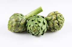 Enginar Ekstraktı (Artichoke  Extract)