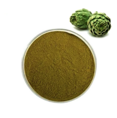 Enginar Ekstraktı (Artichoke  Extract)