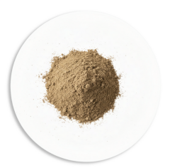Hayıt Ekstraktı (Chaste Tree Extract)