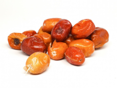 İğde  Ekstraktı (Elaeagnus Extract)