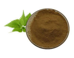 Isırgan  Otu Ekstraktı (Nettle  Extract)