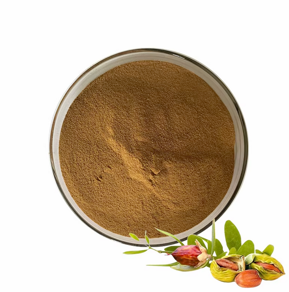 Jojoba Ekstraktı (Jojoba Extract)