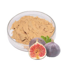 İncir Ekstraktı (Fig  Extract)
