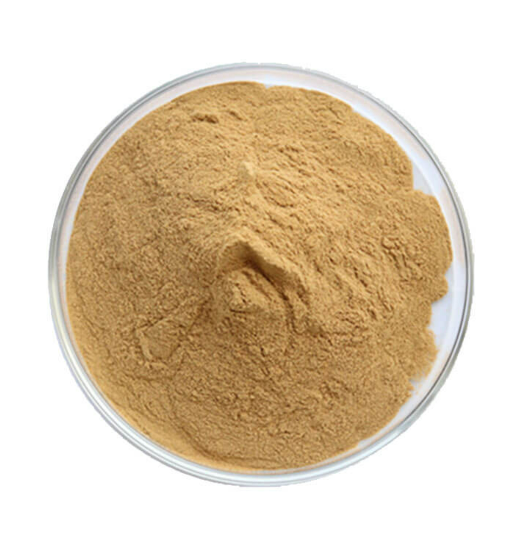 Bitkisel Protein (Vegetable Protein) (Hidrolize)