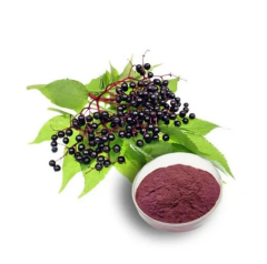 Kara Mürver Ekstrakt (Black Elderberry Extract)