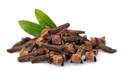 Karanfil Ekstraktı (Clove Extract)