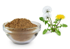 Karahindiba  Ekstraktı (Dandelion Extract)