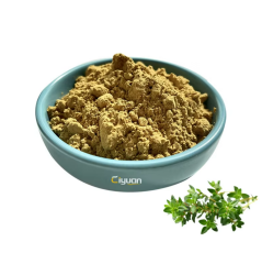 Kekik Ekstraktı (Thyme Extract)