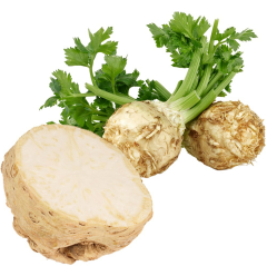 Kereviz Ekstraktı (Celery Extract)