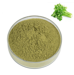 Kereviz Ekstraktı (Celery Extract)