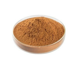 Keten Tohumu Ekstraktı (Flax Seed Extract)