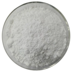 Disodyum Fosfat (Disodium Phosphate) (DSP)