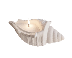 İnci Tozu Mumu-Beyaz (Candle Pearled Wax-White)