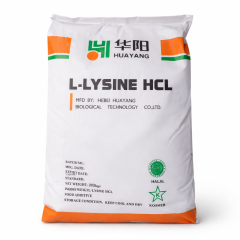 L-Lizin (Lysine, USP Food Grade)