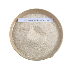 L-Lizin (Lysine, USP Food Grade)