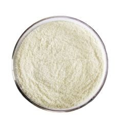 Karagenan (Carrageenan) (E 407)