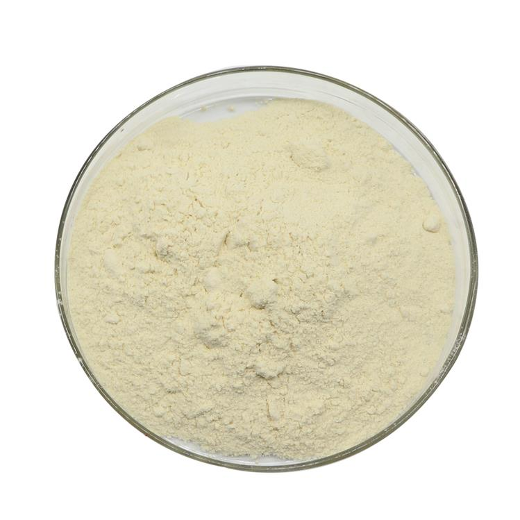Ksantan Gum (Xanthan Gum) (E 415)