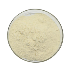 Ksantan Gum (Xanthan Gum) (E 415)