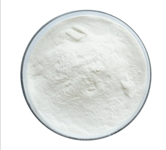 L-Glutamine (%99 Saf)