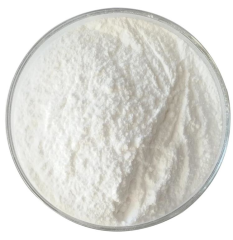 Sodyum Benzoat (Sodium Benzoate) (E 211)
