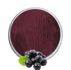 Aronya Ekstrakt (Aronia Extract) Toz