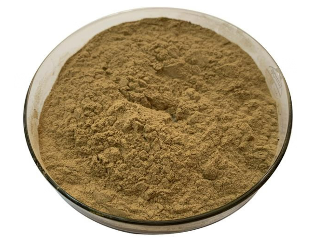 Aslan Pençesi Ekstraktı (Lady's Mantle Extract)