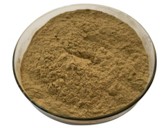 Aslan Pençesi Ekstraktı (Lady's Mantle Extract)