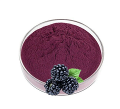 Böğürtlen Ekstrakt (Blackberry Extract)