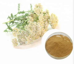 Civanperçemi Ekstrakt (Yarrow Extrtact)