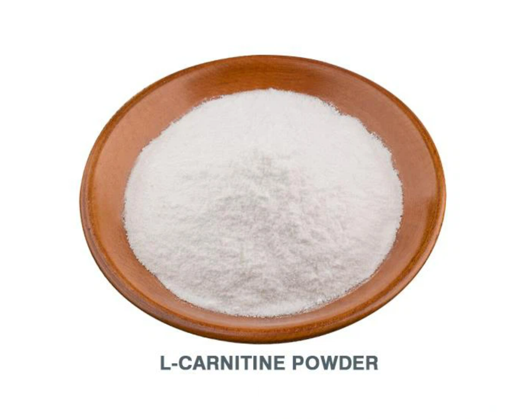 L-Carnitine (Toz-Powder)