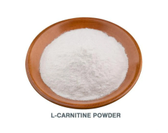 L-Carnitine (Toz-Powder)