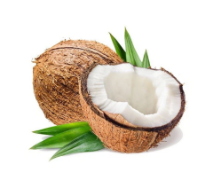 Hindistancevizi  Ekstraktı (Coconut  Extract)