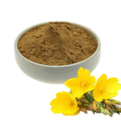 Çuha Çiçeği Ekstraktı (Primrose Extract)