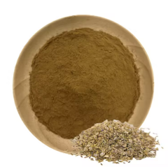 Dereotu Ekstrakt (Dill Extract)