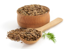 Dereotu Ekstrakt (Dill Extract)