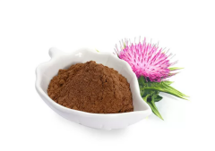 Deve Dikeni  Ekstraktı (Milk Thistle Seed  Extract)
