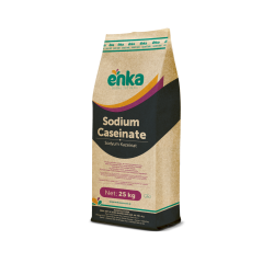Sodyum Kazeinat (Süt Proteini) (E 469)
