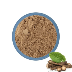 Dulavrat Otu Ekstraktı (Burdock Root Extract)