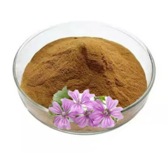 Ebegümeci  Ekstraktı (Mallow Extract)