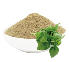Fesleğen Ekstraktı (Basil Extract)