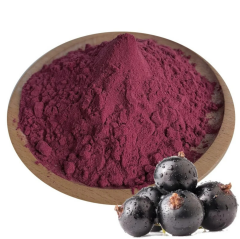 Frenk Üzümü Ekstraktı (Blackcurrant Extract)