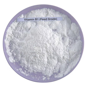 Vitamin B1 (Thiamine Mononitrate) Feed Grade
