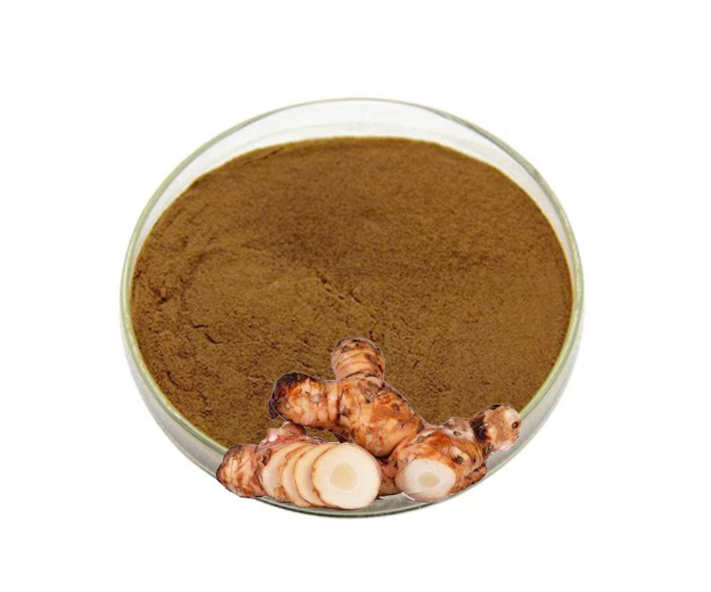 Havlıcan Ekstraktı (Galangal Extract)