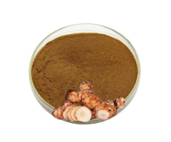 Havlıcan Ekstraktı (Galangal Extract)