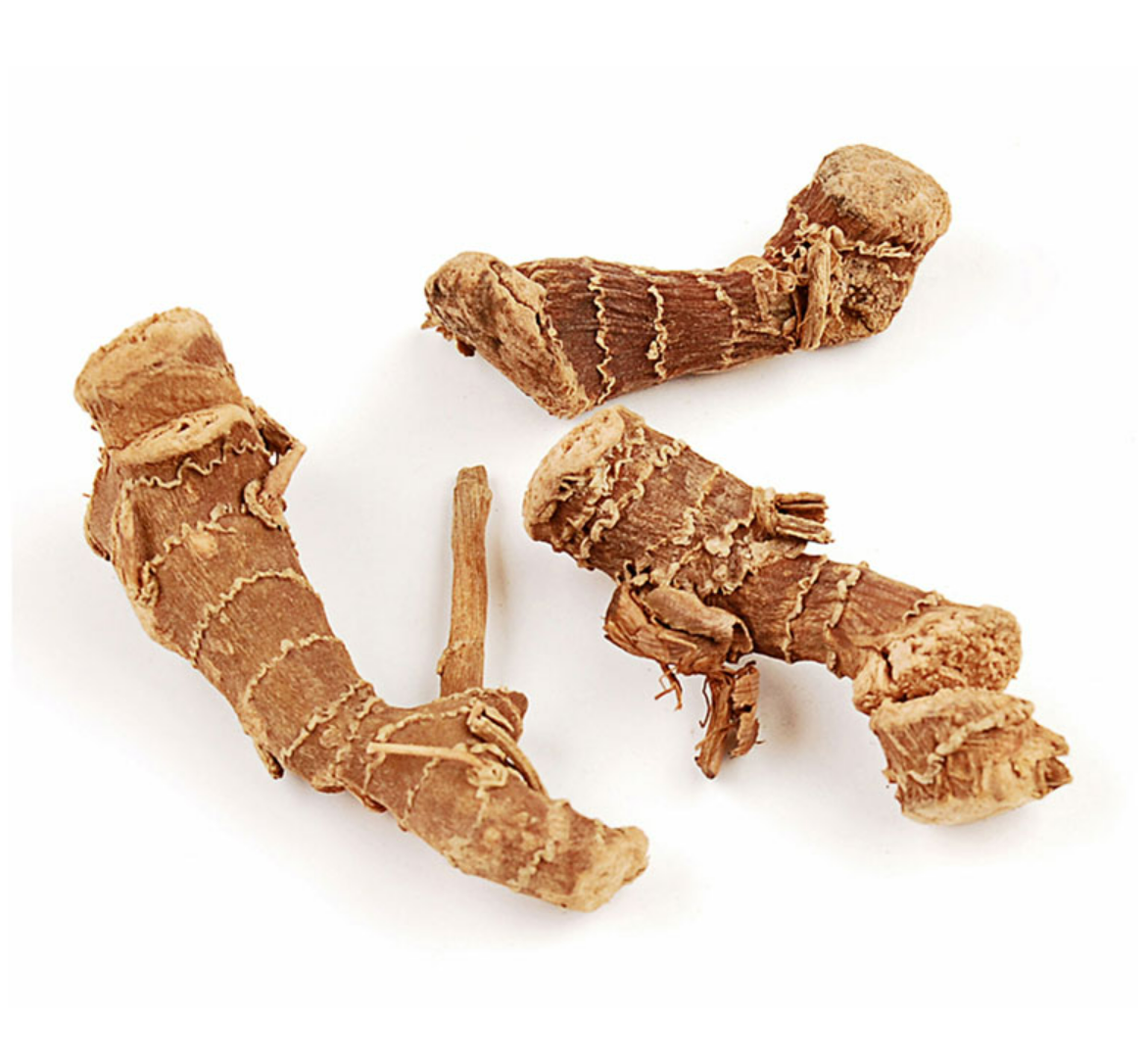 Havlıcan  Ekstraktı (Galangal Extract)