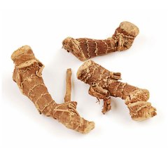 Havlıcan Ekstraktı (Galangal Extract)