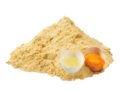 Bütün Yumurta Tozu (Whole Egg Powder)