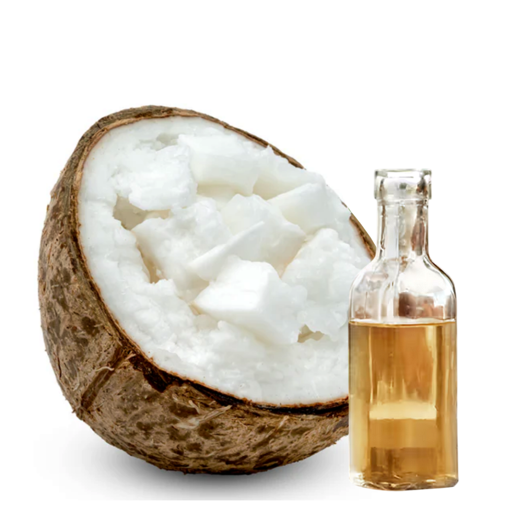 Coconut Oil (Hindistancevizi Yağı)