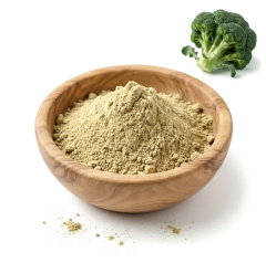 Brokoli Ekstraktı/ Broccoli Extract (Toz)