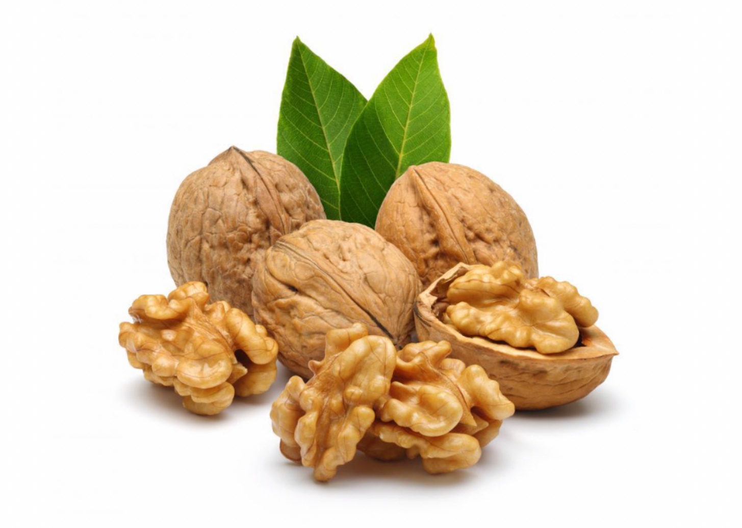 Ceviz  Ekstraktı (Walnut Extract)